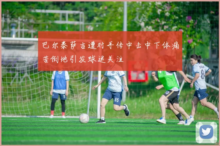 巴尔泰萨吉遭对手传中击中下体痛苦倒地引发球迷关注