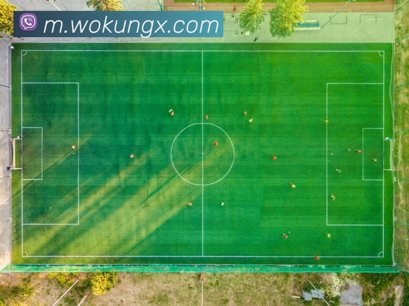 App 示例图